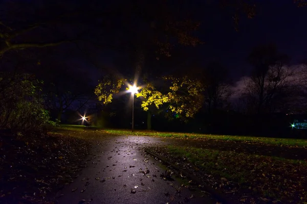 way in a park at night by light wallpaper background