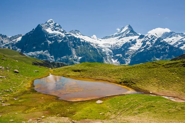 小さい色付きの Bachsee、Schreckhorn の近くの湖 — ストック写真