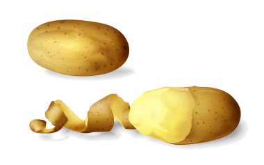 Patates izole gerçekçi patates sebze 3d vektör çizim tüm soyulmuş ve yarısı soyulmuş ve sarmal kabuğu bükülmüş