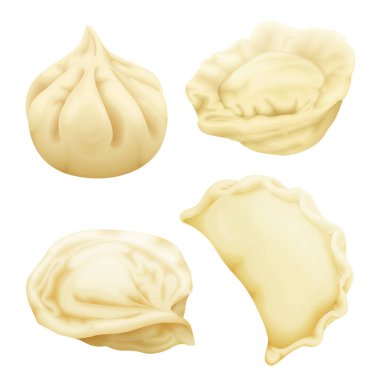 Vector realistic 3d dumplings pelmeni khinkali clipart