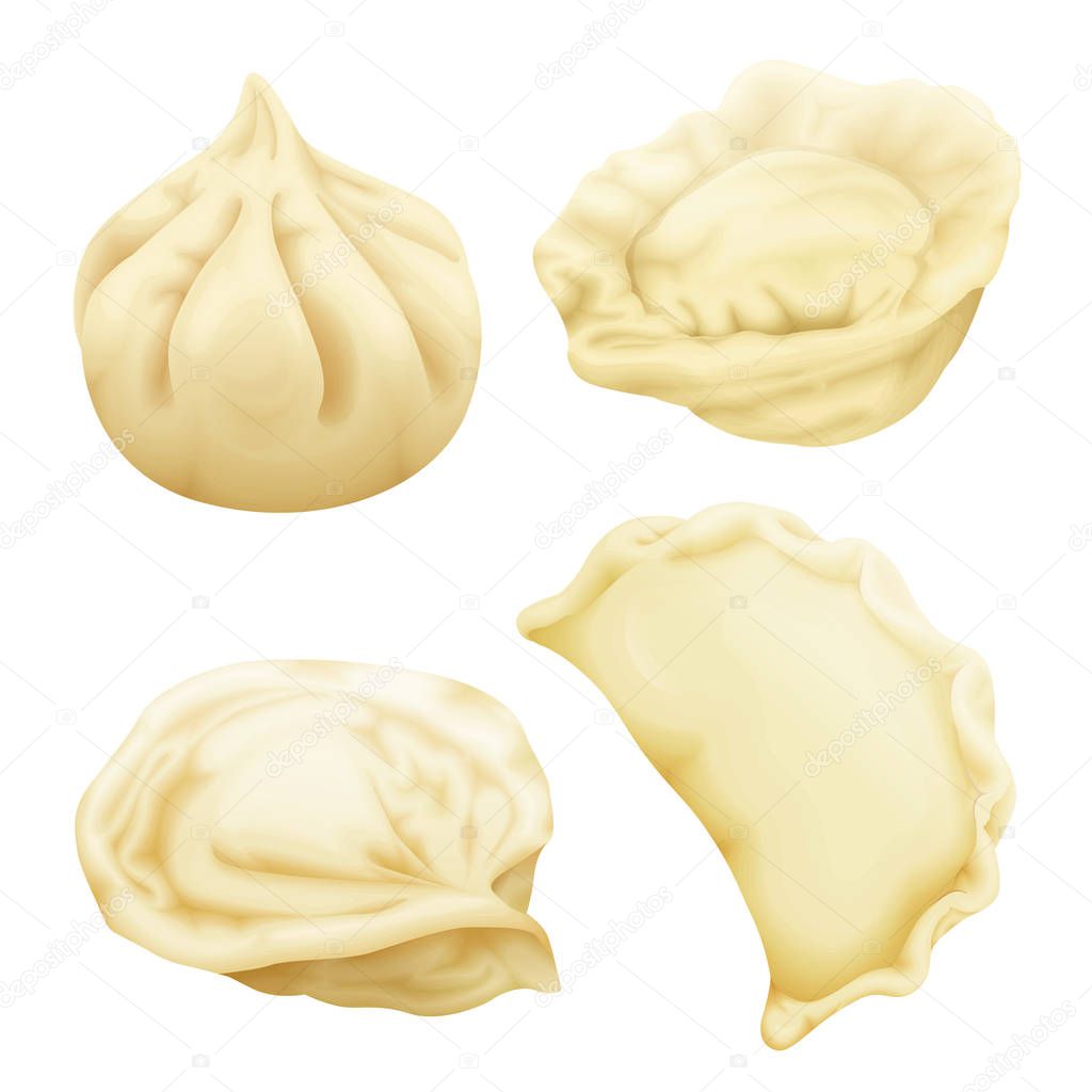 Vector realistic 3d dumplings pelmeni khinkali