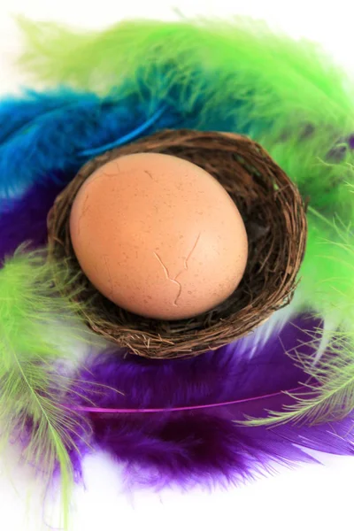 Uovo di Pasqua nel cestino con piume colorate — Foto Stock