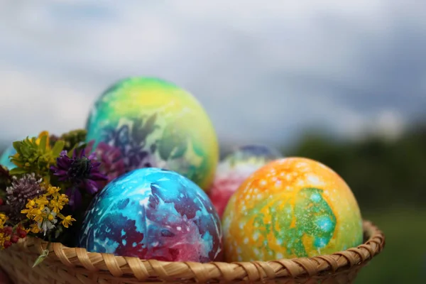 Ovos de Páscoa e flores da primavera buquê — Fotografia de Stock