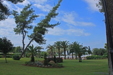 Sani, Halkidiki / Yunanistan - 6 Ağustos 2015: Sani, Kassandra, Halkidiki, Makedonya, Yunanistan 'daki lüks otel bahçesi manzarası.