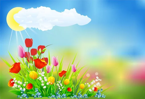 Lente decoratie met tulpen, — Stockvector