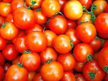 Bahçeden taze kırmızı kiraz domates