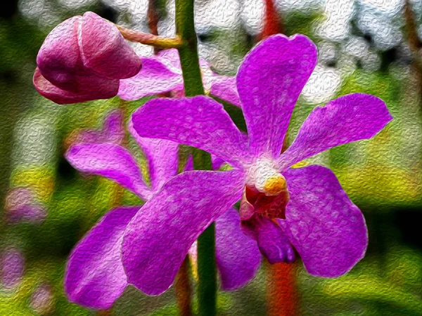 Fleurs Pourpres Exotiques Orchidée Dans Texture Peinture Huile — Photo