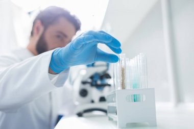 Profesyonel biyolog. Test tüpünü çıkarırken tek kullanımlık eldivende bir erkek elin seçici odak noktası