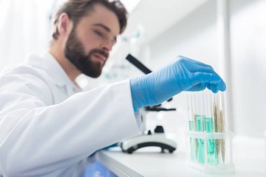 Laboratuvar araştırmaları. Bir araştırma yaparken test örnekleri ile test tüpü alan bir erkek elin seçici odak