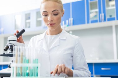 Bilimsel araştırma. Akıllı güzel pozitif kadın tablet ekranbakarak ve bir araştırma yaparken çalışıyor