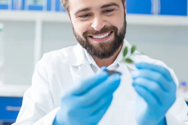 Ekologický Projekt Radostný Pozitivní Mužský Biolog Který Dívá Rostlinu Usmívá — Stock fotografie