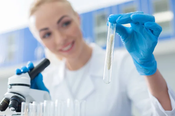 New Biotechnologies Selective Focus Test Tube Being Used Research Biological — Stock Photo, Image