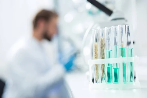 Modern Lab Test Tubes Laboratory Samples Being Ready Scientific Analysis — Stock Photo, Image