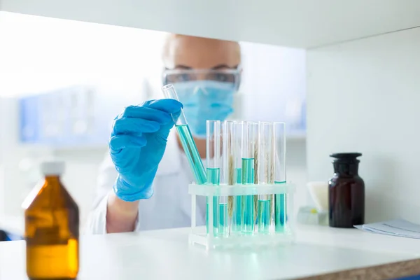 Chemical Studies Test Tubes Chemical Reagents Standing Shelf While Being — Stock Photo, Image