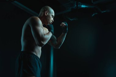 Yakışıklı, kaslı boksör yumruklarını kaldırmış boks yapıyor.