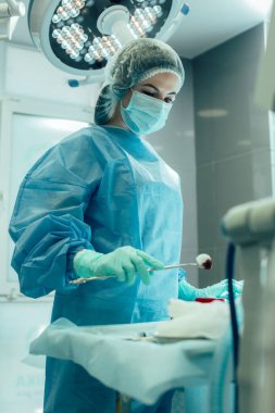 Ameliyat hemşiresi elinde pensli pamuk parçası tutuyor.
