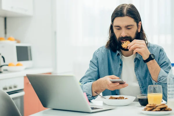 Bearded long haired man biting a chocolate cookie and looking attentively at the screen of his smartphone