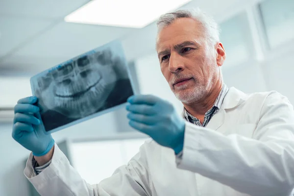 Dentista Seguro Sosteniendo Ortopantomograma Mirándolo — Foto de Stock