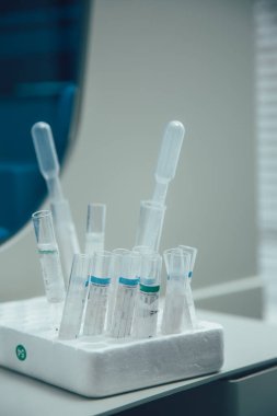Üzerinde kağıt etiketler olan laboratuvar test tüpleri plastik köpük kutusunda duruyor.