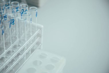 Üzerinde numaralar olan temiz etiketli test tüplerini rafa koy. Web sitesi afişi