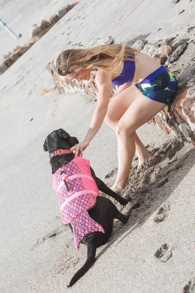 Bonita jovem mulher com seu cão vestindo um wetsuit para nadar no — Fotografia de Stock