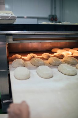 ekmek fırında koymadan