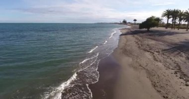 Akdeniz palmiye ağaçları ile bir plaj havadan görünümü