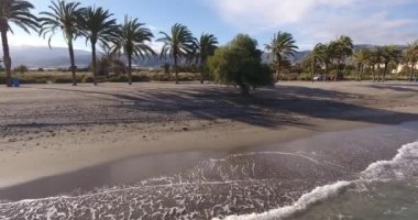 Akdeniz palmiye ağaçları ile bir plaj havadan görünümü