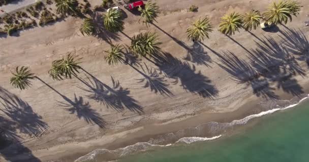 Vista Aérea Una Playa Con Palmeras Mar Mediterráneo — Vídeo de stock