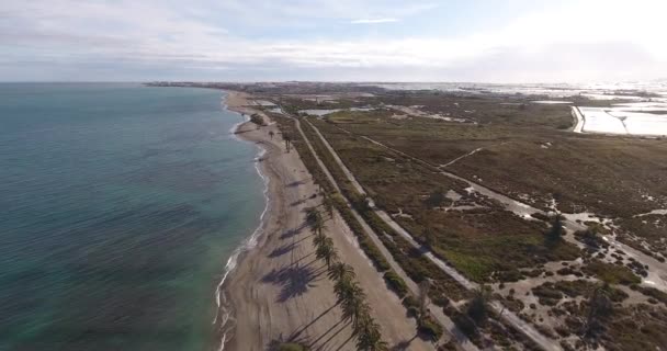 地中海上棕榈树的海滩鸟瞰图 — 图库视频影像