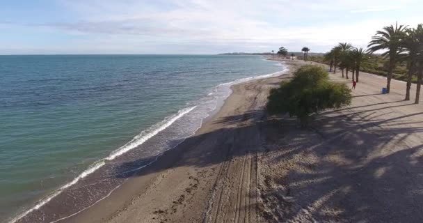 지중해 바다에 나무와 해변의 — 비디오