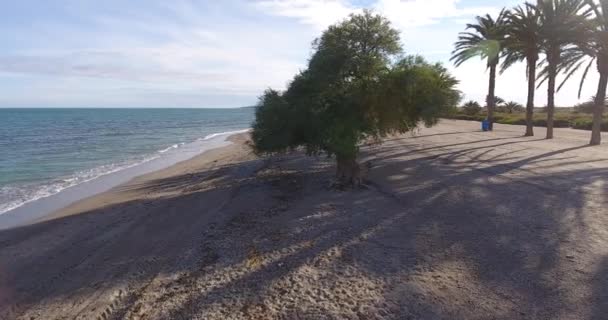 지중해 바다에 나무와 해변의 — 비디오
