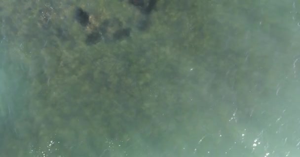 地中海のヤシの木とビーチの空撮 — ストック動画