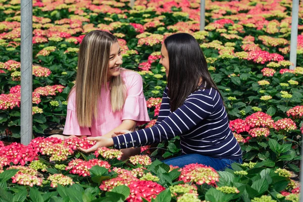 Duas jovens mulheres em um maravilhoso campo de hortênsias (Hortensia ), — Fotografia de Stock