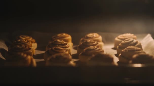 シナモンロール オーブンで焼く 調理シナモンロールのタイムラプス映像 — ストック動画
