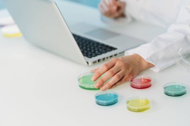 Laboratuvarda dizüstü bilgisayarla çalışan bir kadın bilim adamı ve Coronavirus 'u araştıran Petri kabını kapatın. Mikrobiyoloji laboratuvarı.