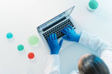 Mikrobiyoloji laboratuvarında Coronavirus 'u araştıran Petri kablarını kullanan bir kadın bilim adamının en iyi görüntüsü. Mikrobiyoloji laboratuvarı.
