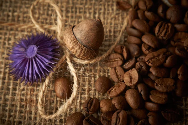 Dried acorn and coffee beans on a jute bag background, copy spac — Stock Photo, Image