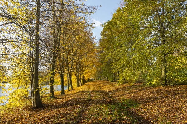 Pista de campo a través de un bosque de otoño — Foto de Stock