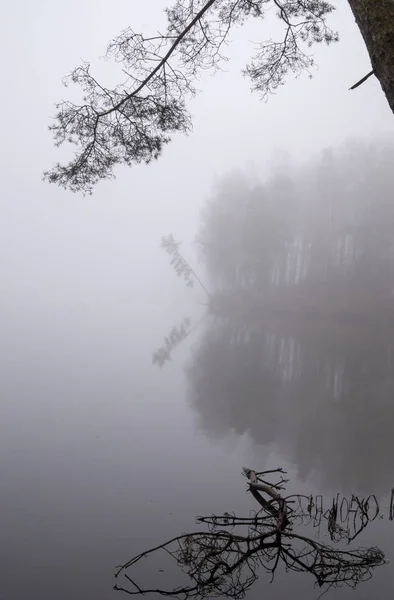 Размышления о спокойном озере с осенним туманом — стоковое фото
