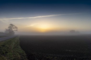 Sahada sabahın erken saatlerinde