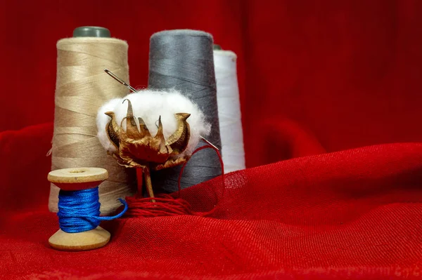 Reels of colored cotton yarn with a cotton boll — Stock Photo, Image