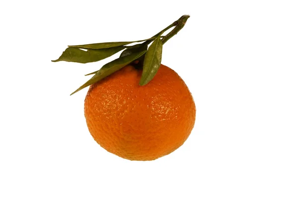 Laranja mandarina madura fresca com galho e folhas — Fotografia de Stock