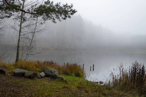 Atmosfäriskt dimmigt höstlandskap — Stockfoto