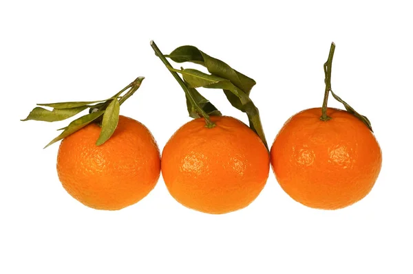 Mandarines fraîches mûres oranges avec rameaux et feuilles — Photo