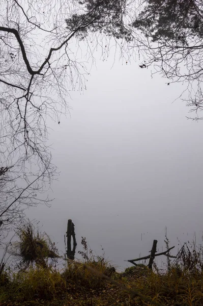Размышления о спокойном озере с осенним туманом — стоковое фото