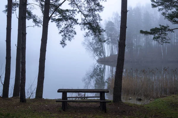 Скамейка со столом у озера в лесу — стоковое фото