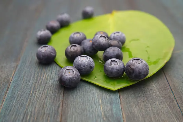 Blueberries and a large round green leaf — Stock Photo, Image