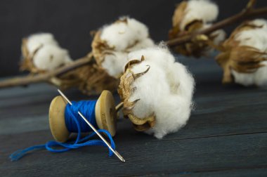 Mavi iplikle çalıların üzerinde pamuk cıvatalar