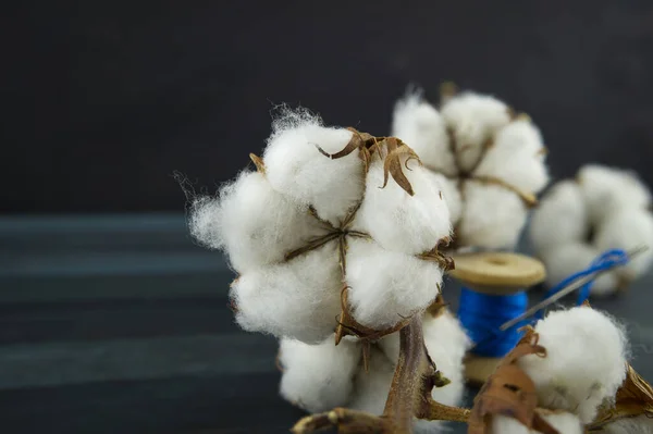 Naturliga bomullsbollar med rulle av blått garn — Stockfoto